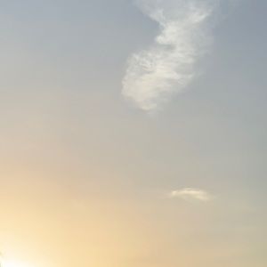 Meet your Posher, Thalia